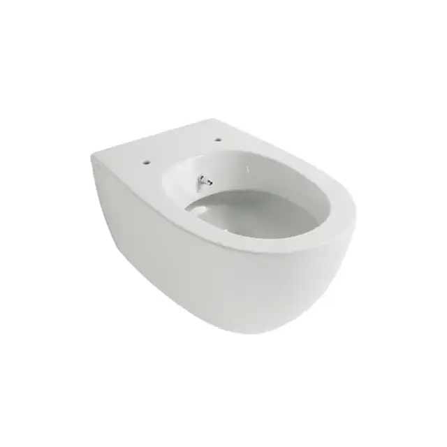 Globo 4ALL Унитаз-биде подвесной  54х36см, крепёж  в комплекте, цвет: белый