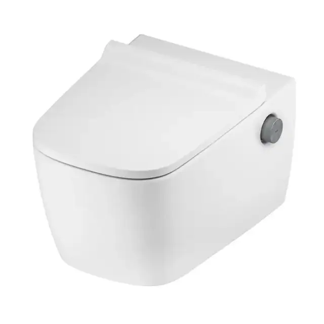 TECEneo Унитаз-биде подвесной 54х36х36см, безободковый, смыв Tornado, с крепежом, цвет: белый