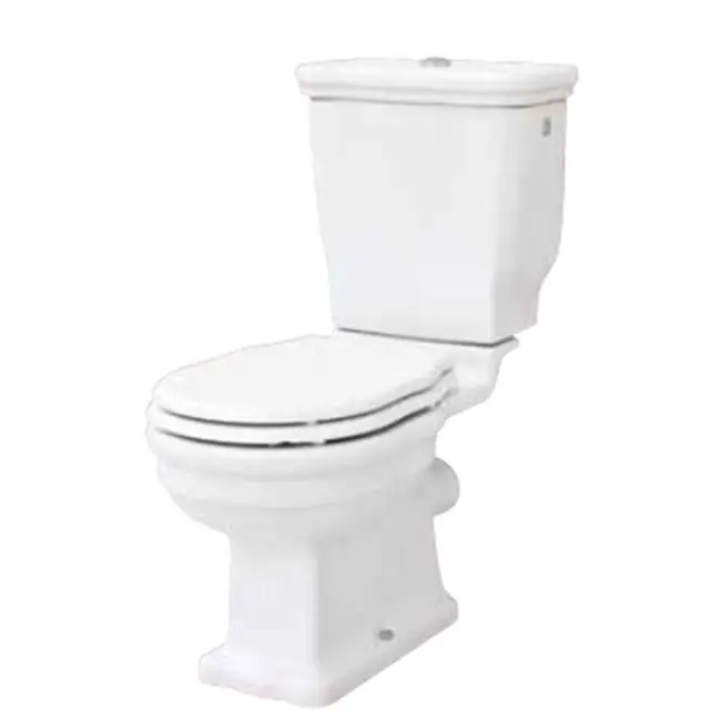 Artceram HERMITAGE унитаз моноблок 71х36см слив в стену с креплением, цвет: белый/золото