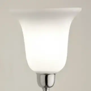 Devon&Devon Tulip  Glass Плафон стеклянный 138х120 мм для настенного светильника