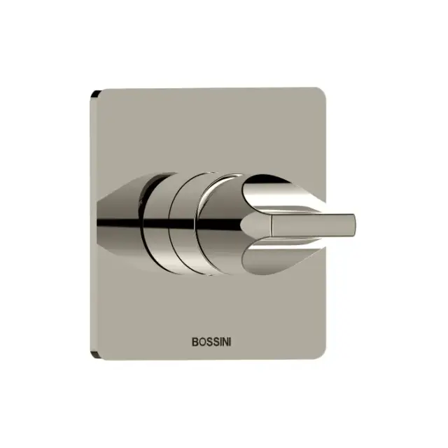 Bossini Apice Смеситель для душа, встраиваемый, цвет: брашированный никель