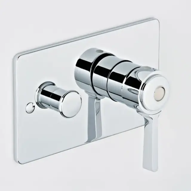 THG CAPUCINE VERT DECOR PLATINE Смеситель для душа встраиваемый, однорычажный, с переключателем, внешняя часть, декор платина, цвет: хром