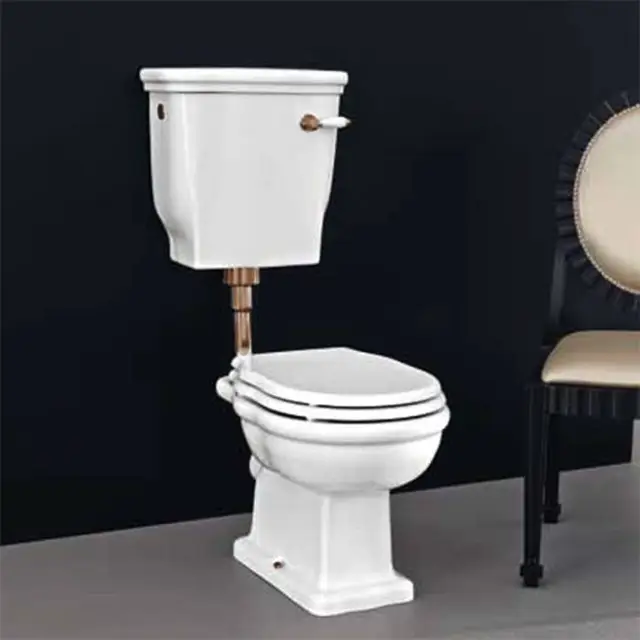 Artceram HERMITAGE Унитаз приставной слив в пол, 36х55см, с крепежом в комплекте, цвет: белый/бронза