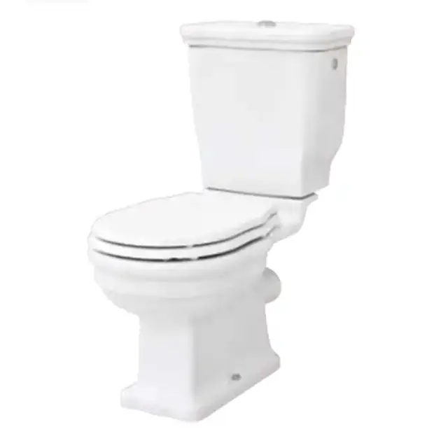 Artceram HERMITAGE унитаз моноблок 71х36см слив в пол с креплением, цвет: белый/бронза