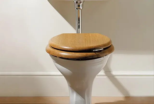 Сиденье для компакта, softclose 39*42 белое, фурнитура латунь