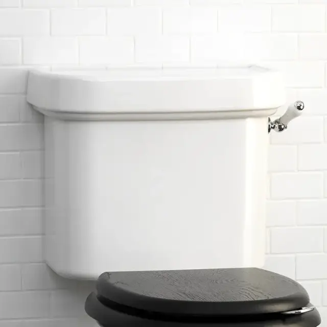 Бачок компакта DEVON&DEVON Blues