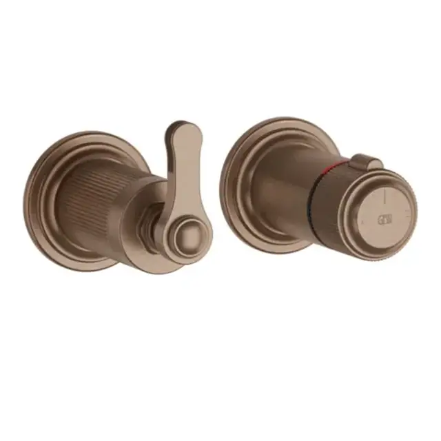 Внешняя часть встраиваемого термостата для душа на 2 отверстия GESSI VENTI20