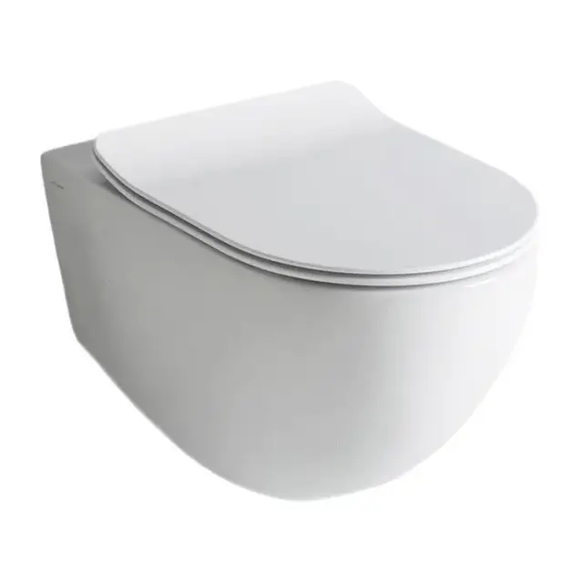 Унитаз Art Ceram FLV006 05 00 цвет-matt white