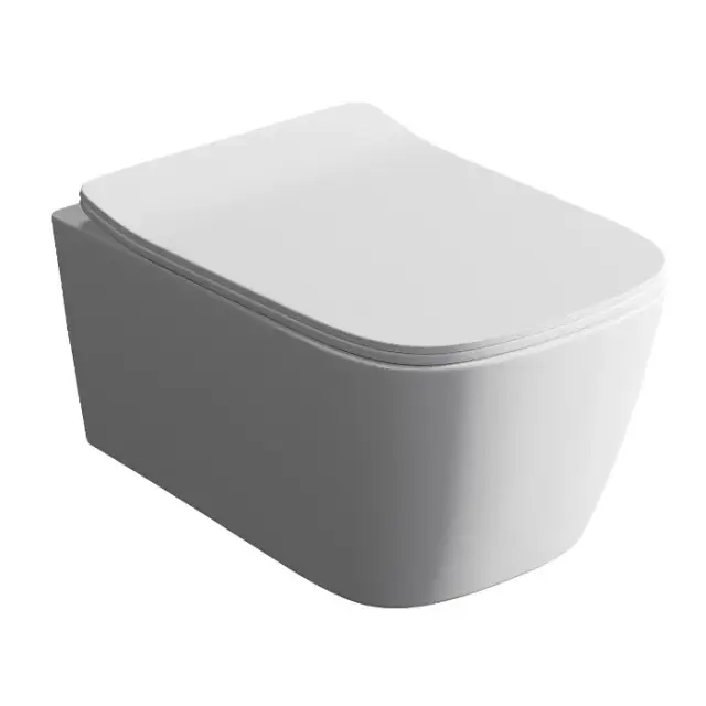 Унитаз Art Ceram Reel ASV006.05.00 Цвет-белый матовый/покрытие Saniglaze