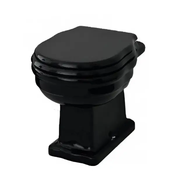 Унитаз Art Ceram Hermitage HEV003.03.00 Цвет-черный