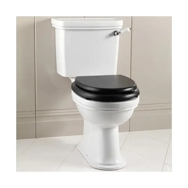 Унитаз Devon&Devon ROSE IBWCROSE+IBCMROSE цвет - белый